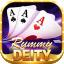 pool rummy rules icon