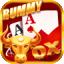 rummy website