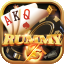 rummy 11